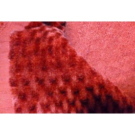 TISSU VELOURS DE LAINE ROUGE A0013