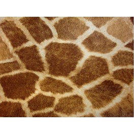 TISSU IMPRIME PEAUX DE BETES JIRAFA 03 A0007 TISSU IMPRIME PEAUX DE BETES JIRAFA 03 A0007