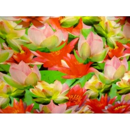 TISSU SATIN POLYESTER IMPRIME A0017 TISSU SATIN POLYESTER IMPRIME A0017